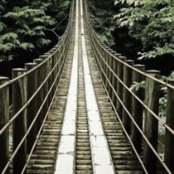 Follow