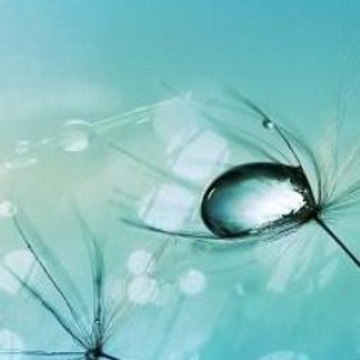 Trucks For Kids