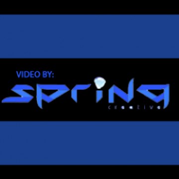 SpringCreativeZyrtar