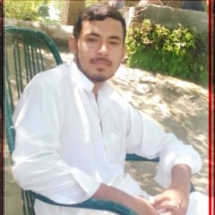 Amir jan