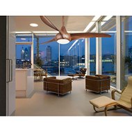 BestCeilingFanReviews