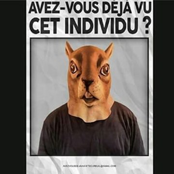 l' écureuil