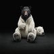 My Animals