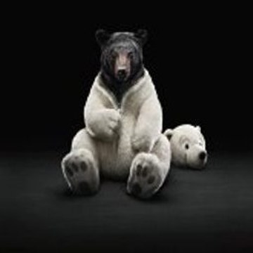 My Animals