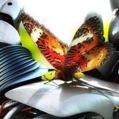 Love Music