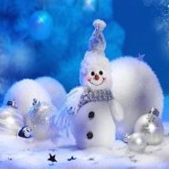 Nice Shortfilms