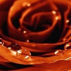 CandyceComer Webcam