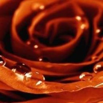 CandyceComer Webcam