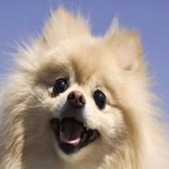 KeelyBarba Webcam