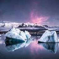 MitsueButterfield Tech