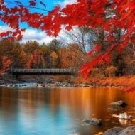 VanceChristianson Videogames