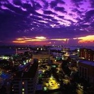 ErasmoZeigler Animals