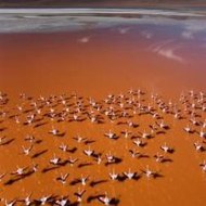 KimberleySutter Music