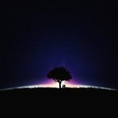 RossanaLayton Animals