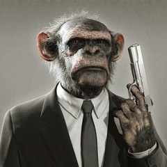 Funnyanimals4u