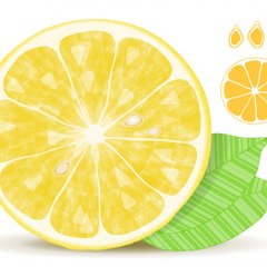 Lemon_5000