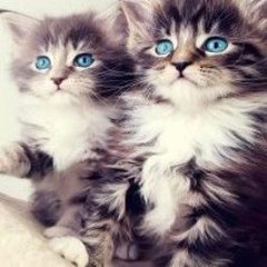 Gain Weight For Skinny Men