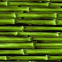 Baldur s Gate II  Shadows of Amn