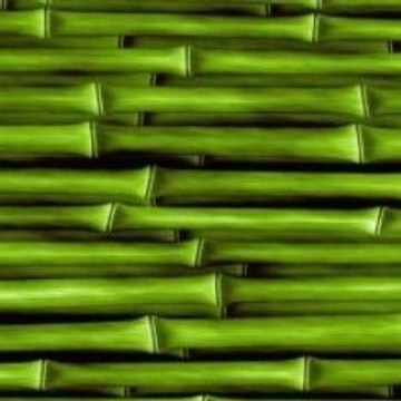 Baldur s Gate II  Shadows of Amn