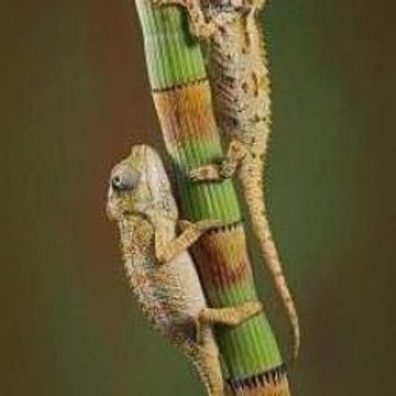 Call of Duty 4  Modern Warfare