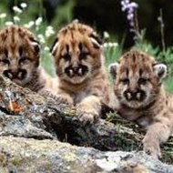 World of Warcraft  The Burning Crusade