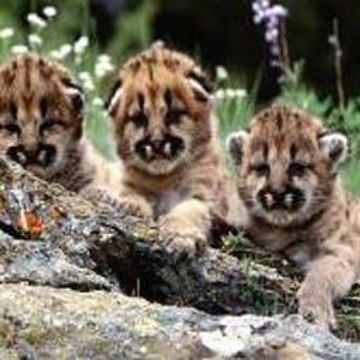 World of Warcraft  The Burning Crusade