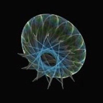 Brothers  A Tale of Two Sons