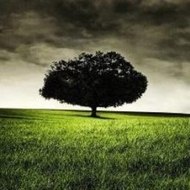 A Knight to Remember