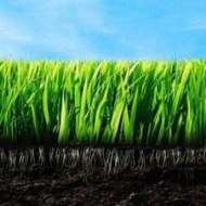 Ultra Street Fighter IV