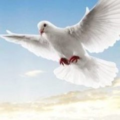 Final Fantasy XIV  Heavensward