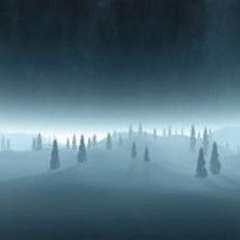 Rory McIlroy PGA Tour