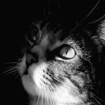 The Beatles  Rock Band