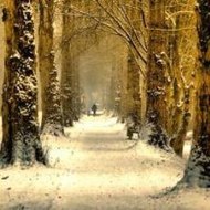 Batman  Arkham Asylum