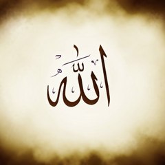 Islamic Collection