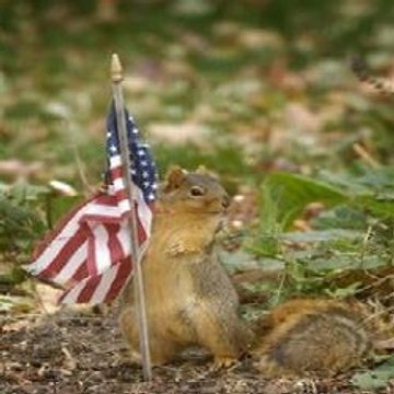 Funny VideoCompilation