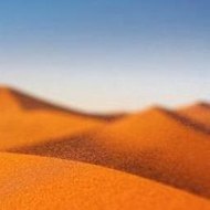 Ever Lasting Friends