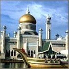 Dream Hight