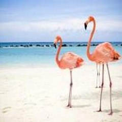 Great Together