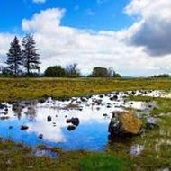 Mesothelioma Law Firm