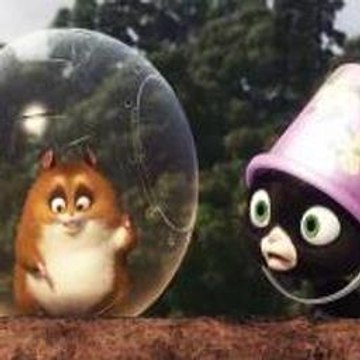 Windows Media Player