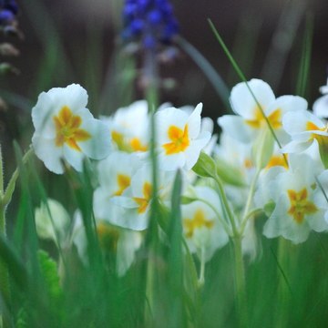 Chris James Landscaping