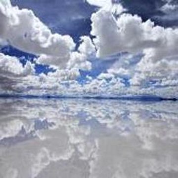 Self Defense Techniques