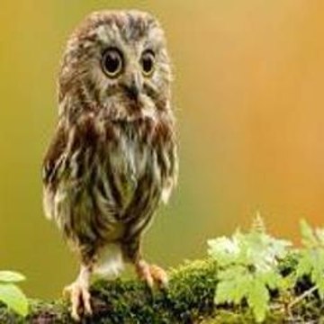 Self Defense For Kids