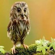 Self Defense For Kids