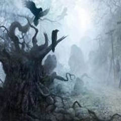 Moor