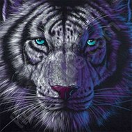 Новинки Кино