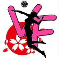 Volleyball Fan V2