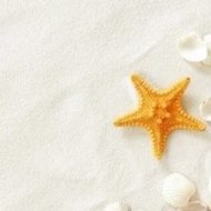 The Fellowship of the Ring