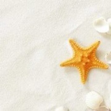 The Fellowship of the Ring