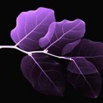 The Dark Knight Rises